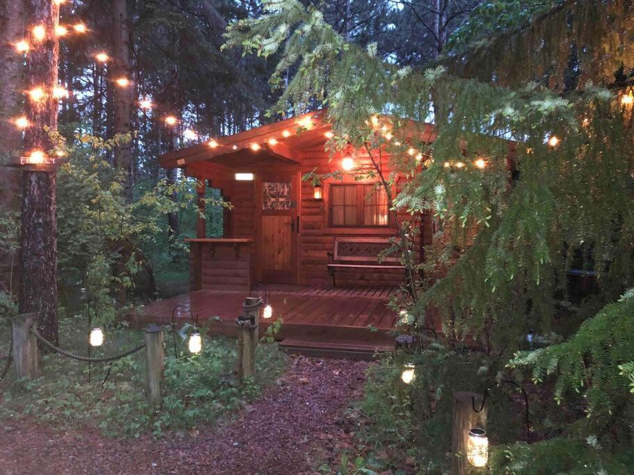 Fancy Fireflies Cabin Hayward Dış mekan fotoğraf