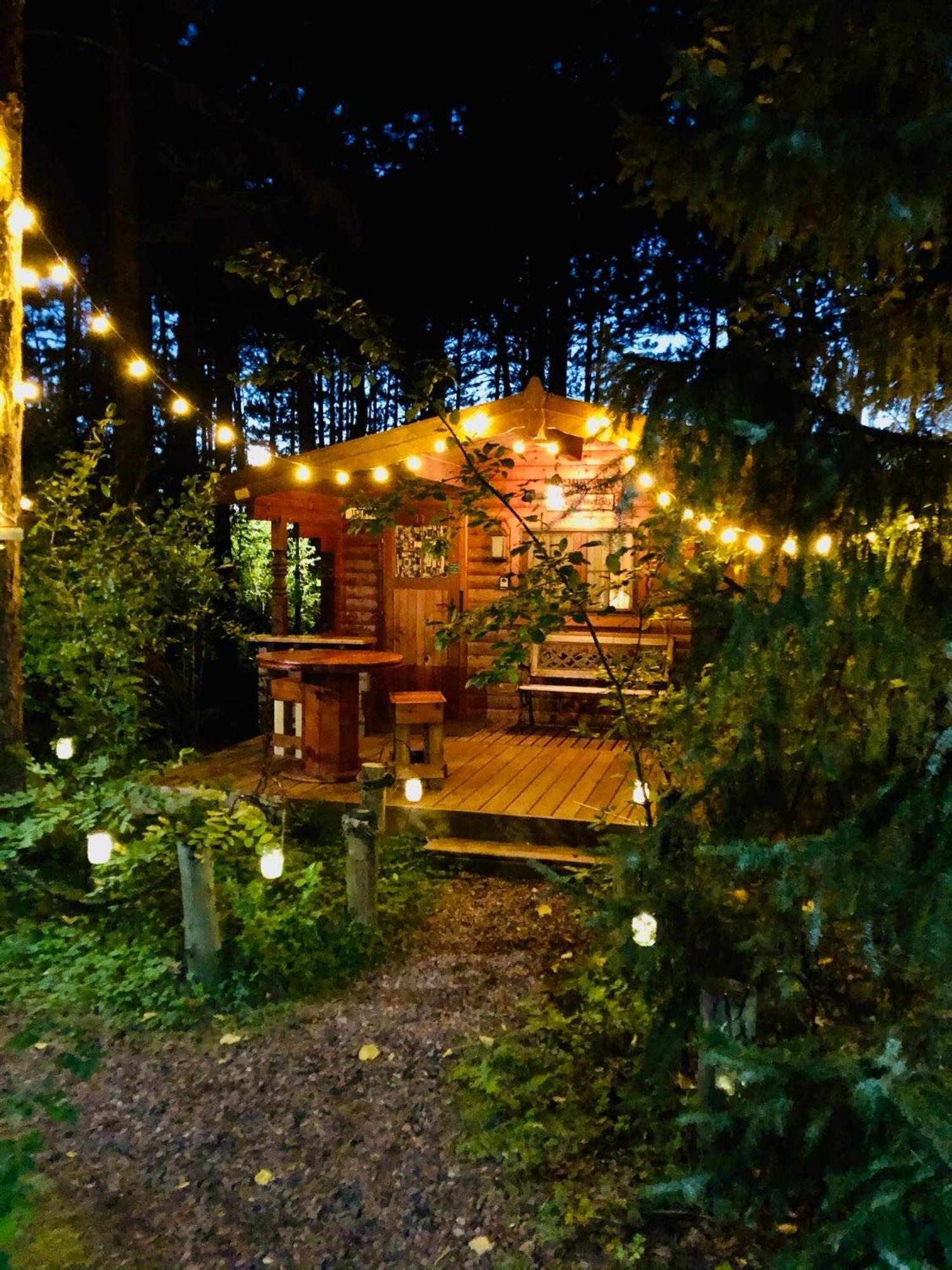 Fancy Fireflies Cabin Hayward Dış mekan fotoğraf